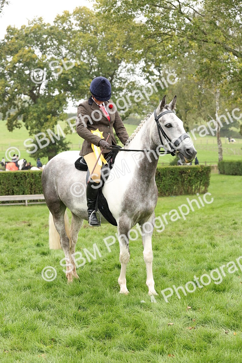 SBM_69905 - S68 - Other Coloured Horse Ridden