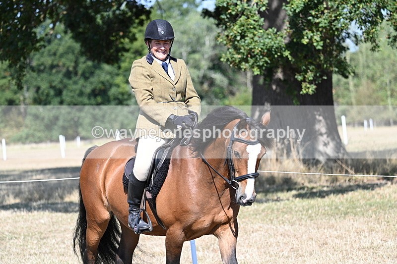 WJ7_3522 - Class 9 Mountain & Moorland Ridden