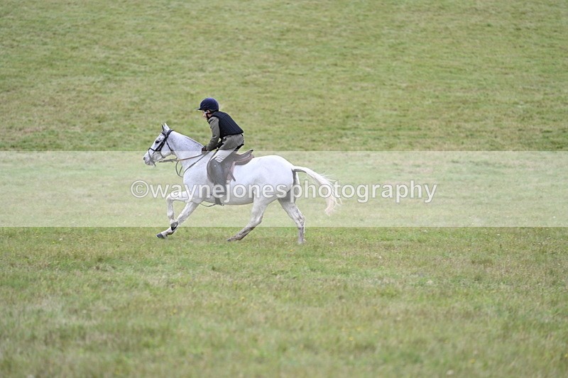 WJ7_4248 - Camera 1 Line 2