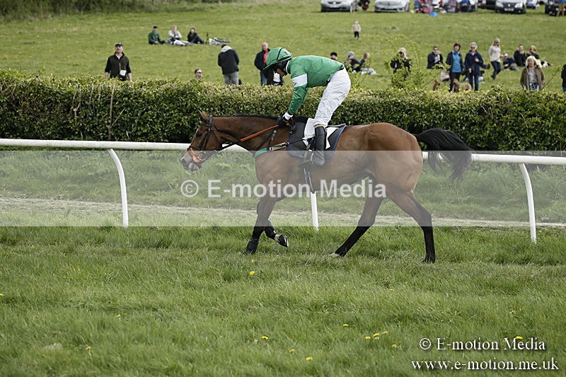 PtP 170417 202 - Old Berks Point-to-Point Lockinge 17/04/17