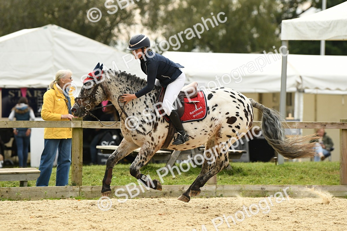 SBM_75681 - Supreme Championship