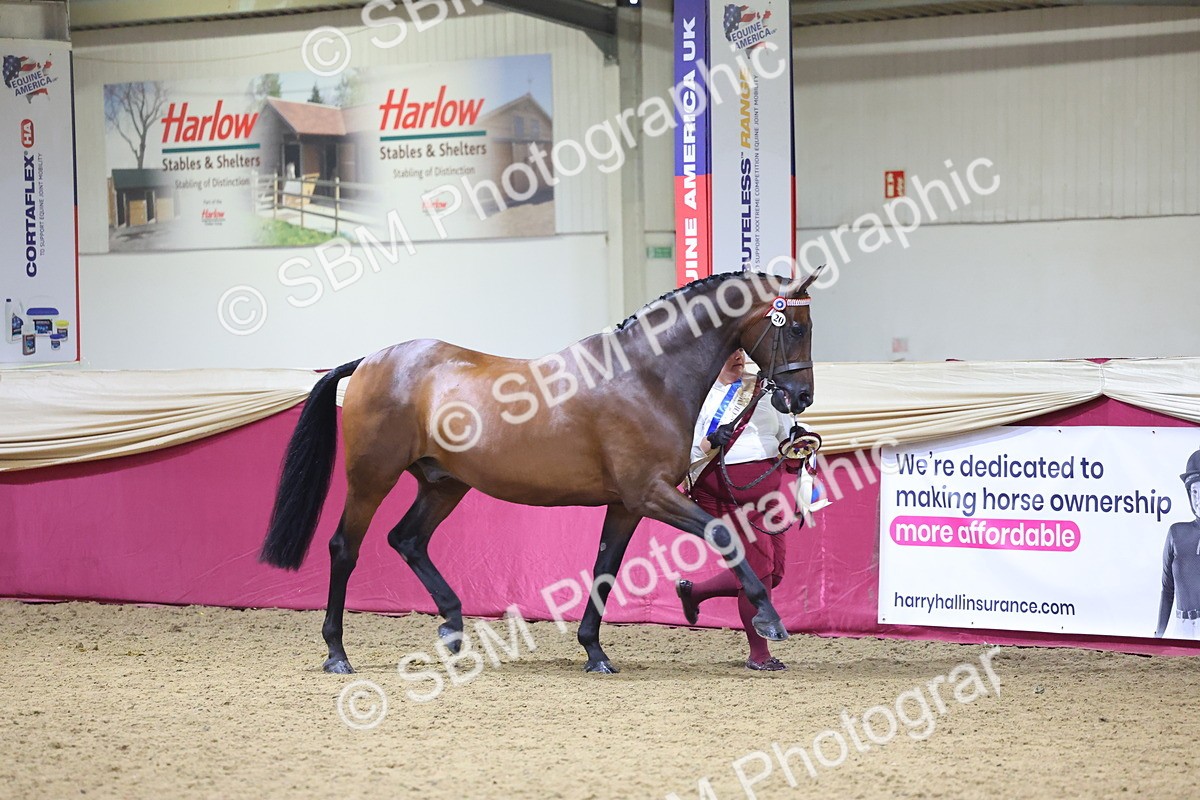 SBM_18822 - Class E IH Horse Champ