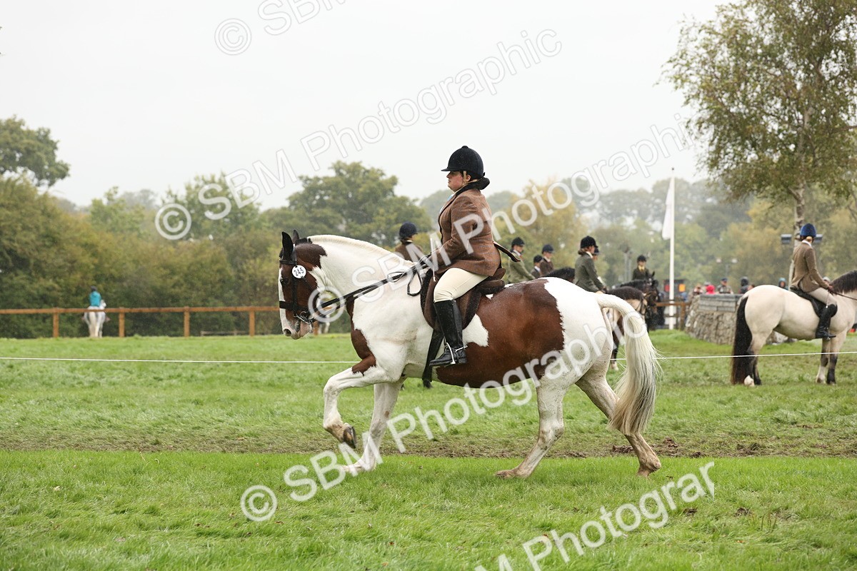 SBM_69825 - S69 - Show Cob Ridden
