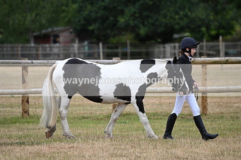 WJ6_4153 - Class 10 Coloured In-hand