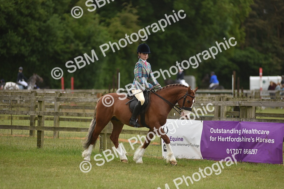 SBM_11990 - Class 110-112 - LIHS BSPS Performance Pones