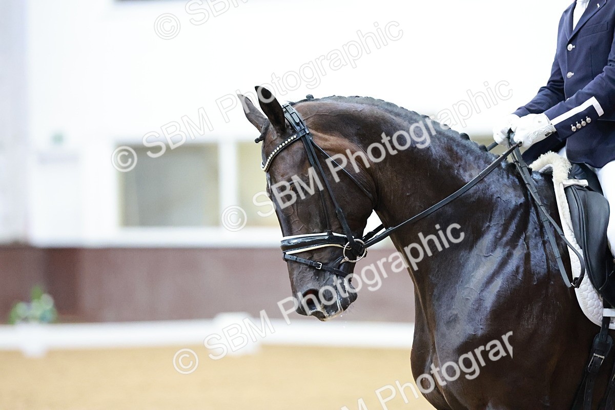 SBM_006292 - Class 3 - Medium 6 - 16.16-17.28