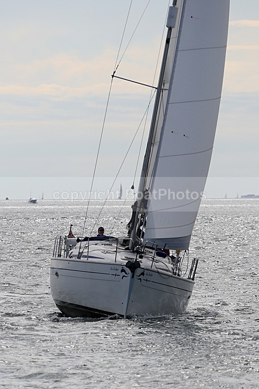 190729 SEA BADGER GBR9483T 1Y3A6694 - 190729 SEA BADGER GBR9483T