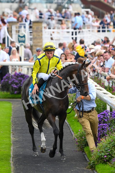 100923-Race 4-Tropical Island-0724 - Race 4 3.15pm Edge Windows Nursery Handicap at York