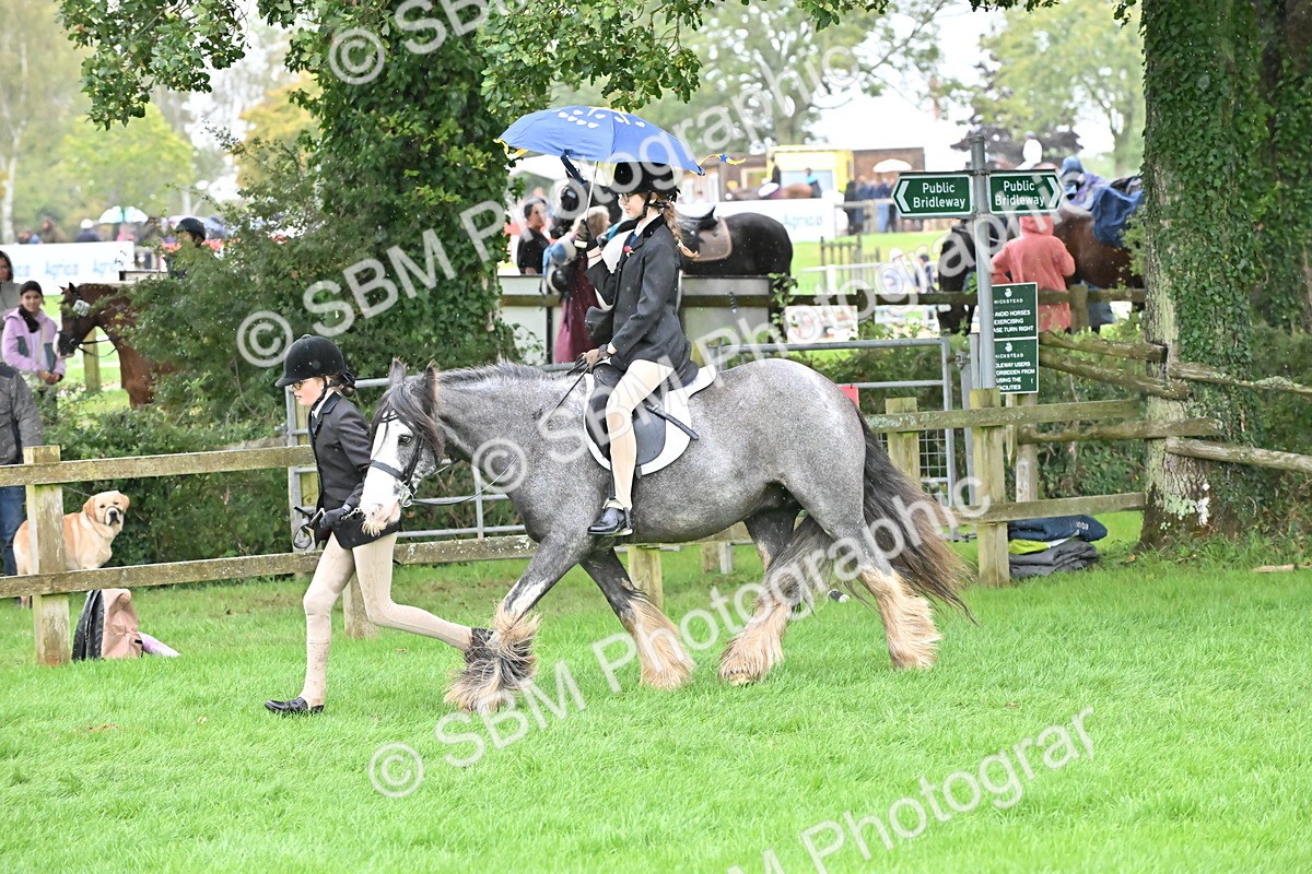 SBM_42983 - S12 - Family Horse & Pony