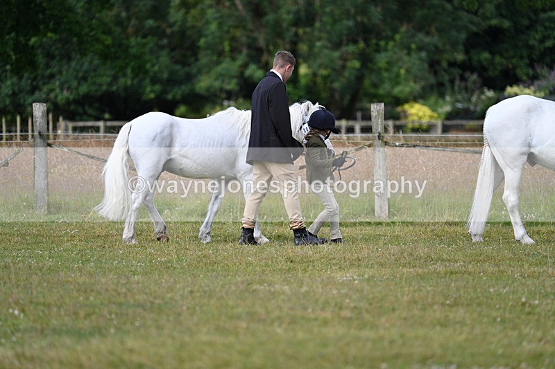 WJ7_4476 - Class 1 Lead Rein Pony