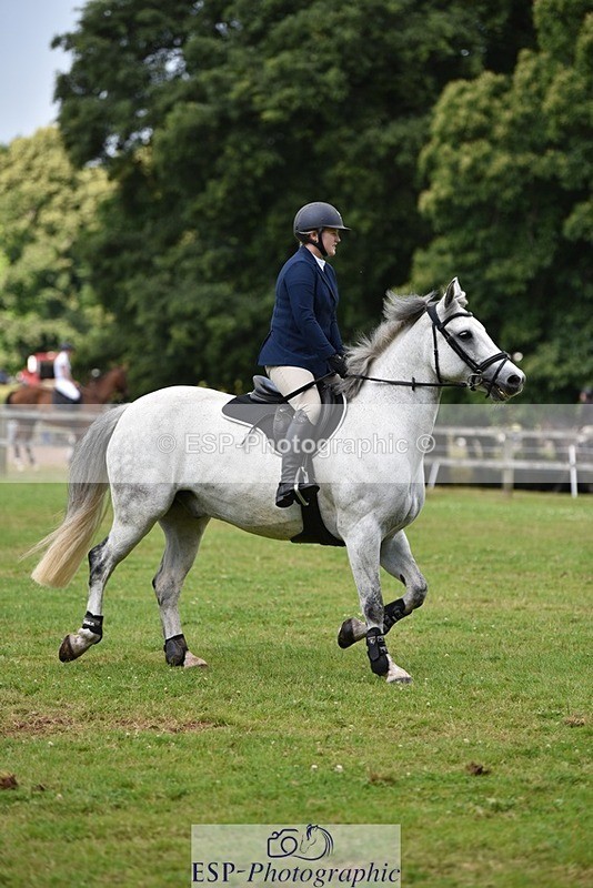 240713-094210-36241 - Cls 157 British Novice and 90cm Open