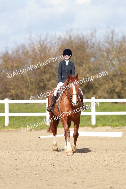 20260314-2924 - DR3 - Prelim 1