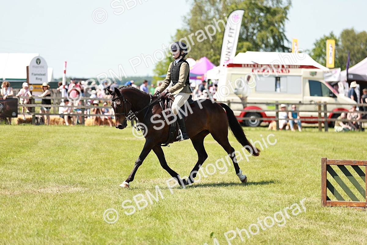 SBM_17589 - Class 112-113 - BSPS LIHS Working Sports Pony