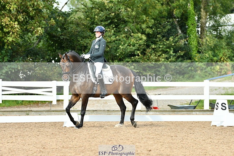 230912A-154648-01642 - Cls 13 Adv Medium 91