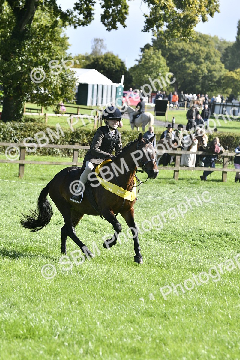 SBM_37255 - S31 - Novice & Newcomer Working Hunter Pony