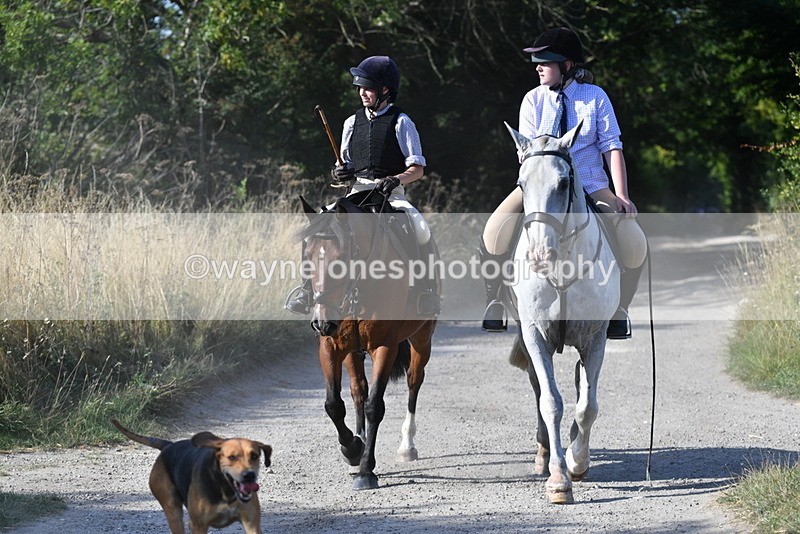 WJ5_4821 - Walk out with the hounds