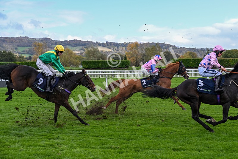 241025-Race 4-Fortune De Mer-3909 - Race 4