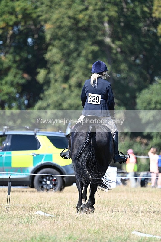 WJ7_9883 - Time 11:03 to 11:28