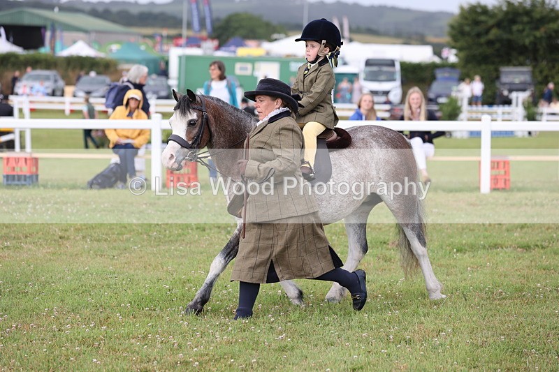 JPP_0349 - Class 14: Cornish Combination Leading Rein