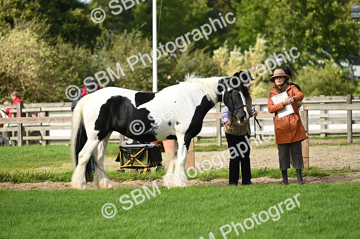 SBM_24957 - S5 - Novice & Newcomer In hand