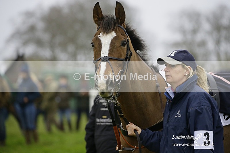 PtP 200222 06 - Countryside Alliance PtP Badbury Rings 20/02/22