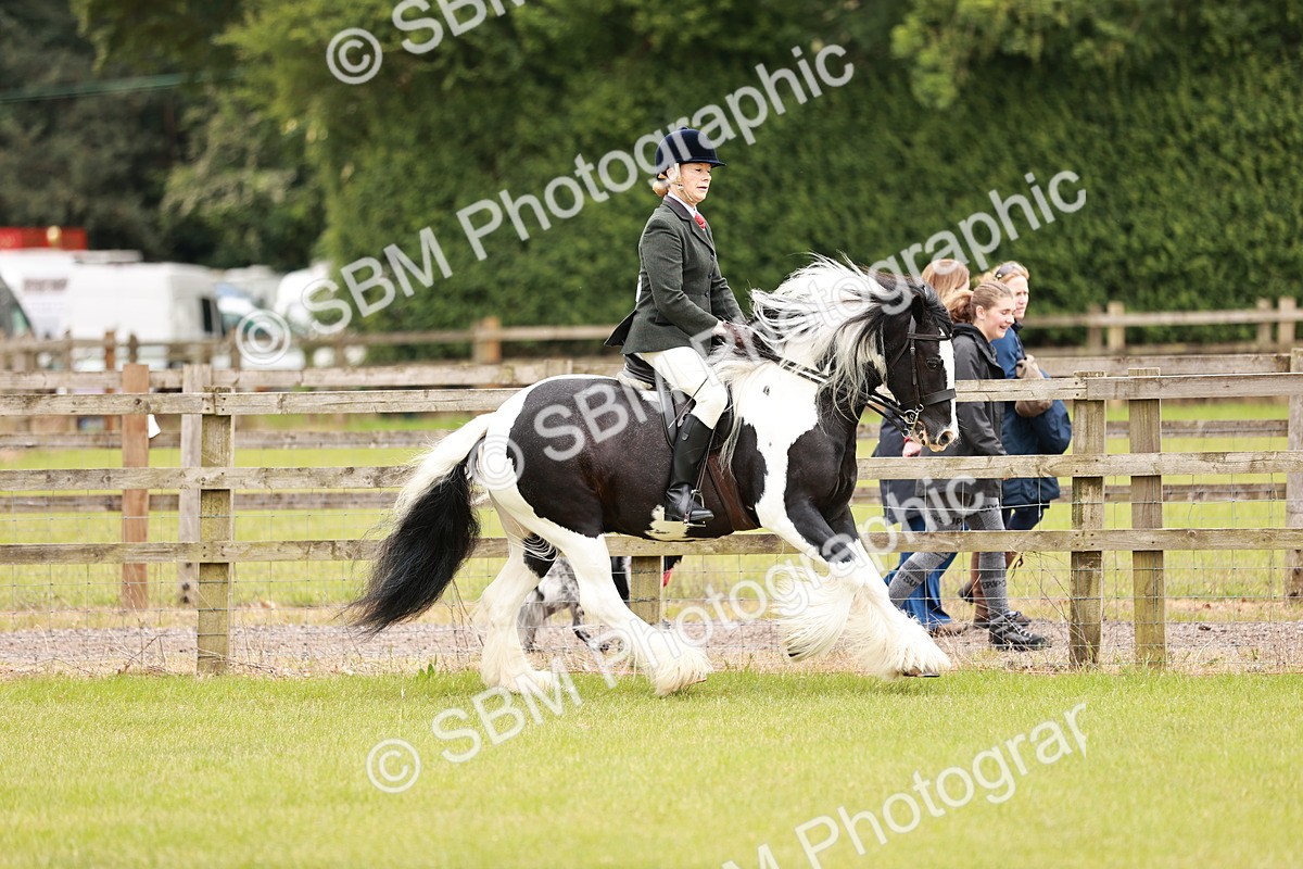 SBM_06176 - Class 39-41 TGCA In Hand and Ridden