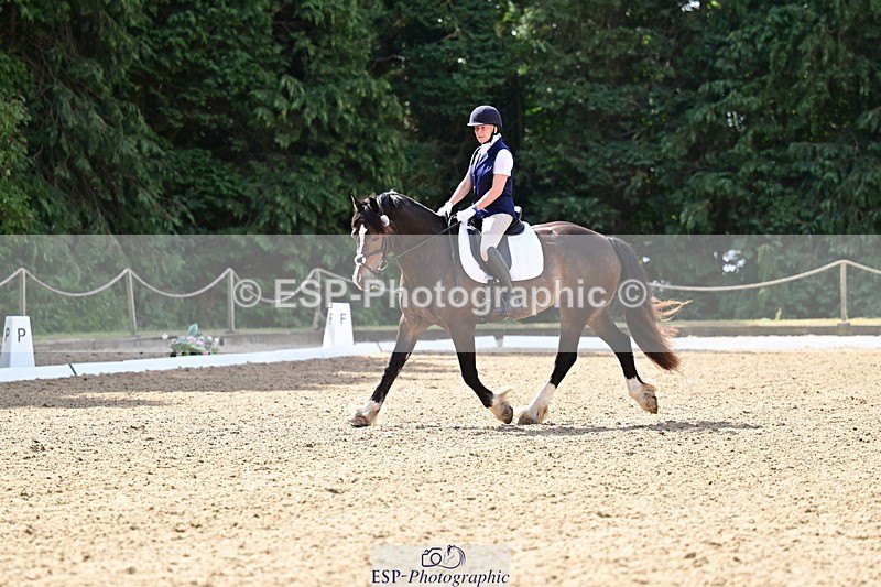 260802A-104203-05565 - Novice Silver break - break