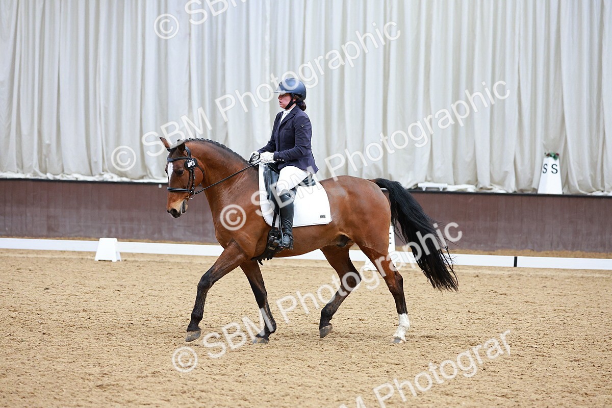 SBM_003445 - Class 15-16-18 - Novice 3-Elementary 1-PYO