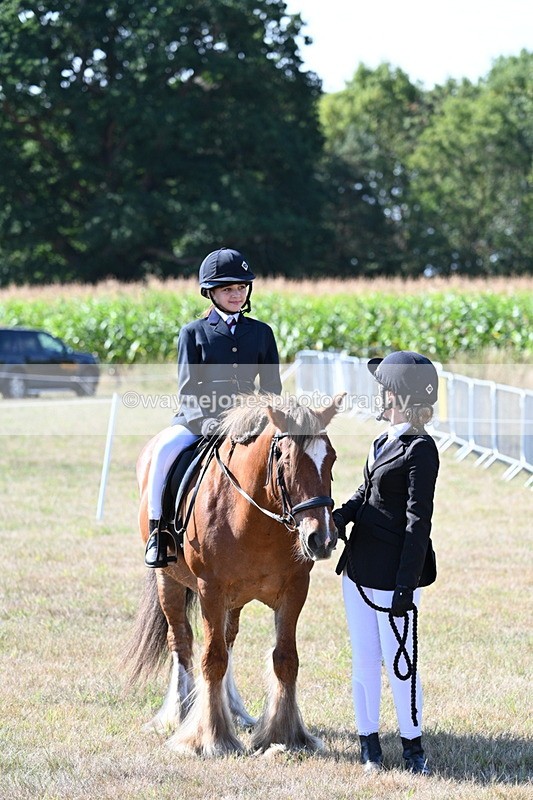 WJ7_3165 - Class 8 Ridden Tack & Turnout