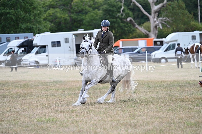 WJ7_5287 - Class 12 Ridden Cob