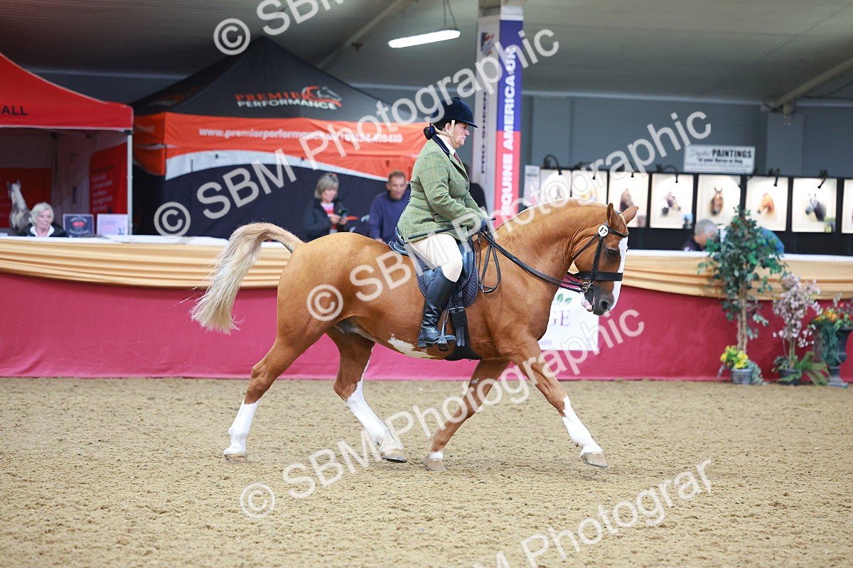SBM_10668 - Class 103 - HOYS Veteran Qualifier - Ridden Pre Vet