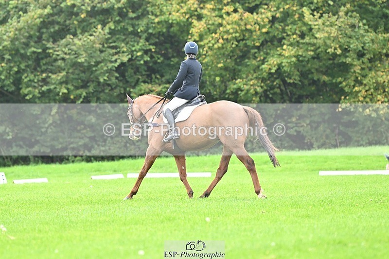 241024-100659-02096 - 308-Rachel.Lawson-RED.STAG