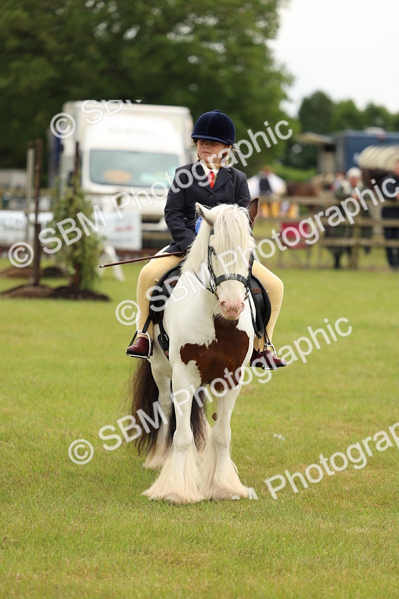 SBM_06290 - Class 39-41 TGCA In Hand and Ridden