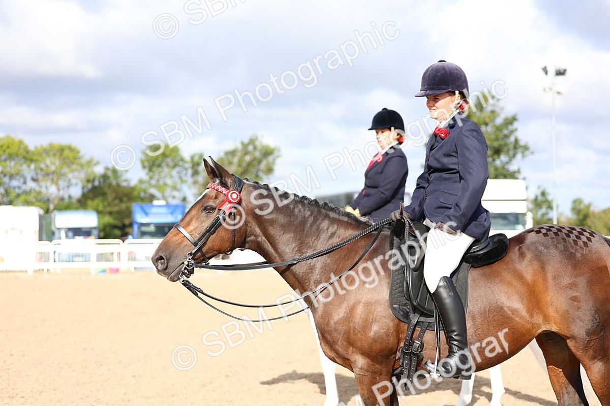 SBM_09156 - Class 303 - Ridden Pure Bred Horse Pony