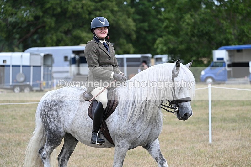 WJ7_5448 - Class 12 Ridden Cob