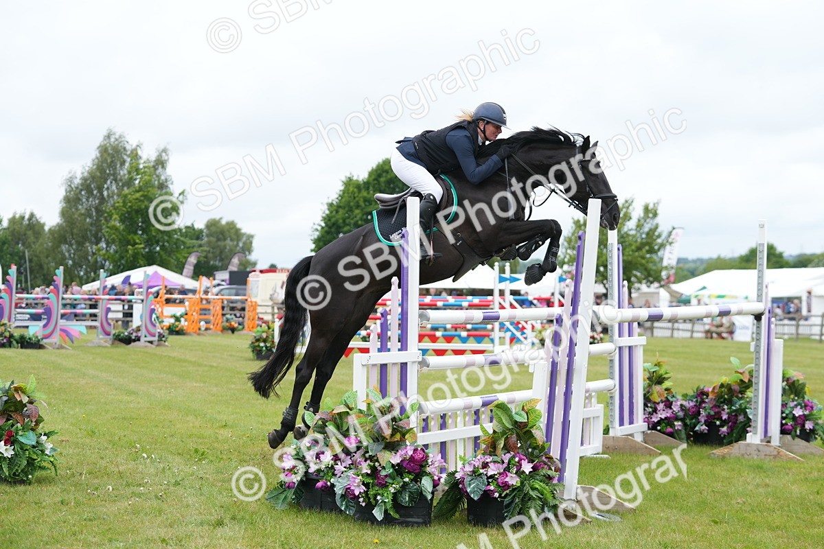 SBM_03134 - Class 201 - British Horse Feeds Speedi Beet Horse of the Year Show Grade  C