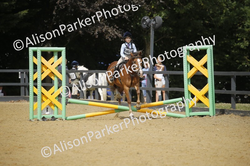 20250622-3825 - 50cm