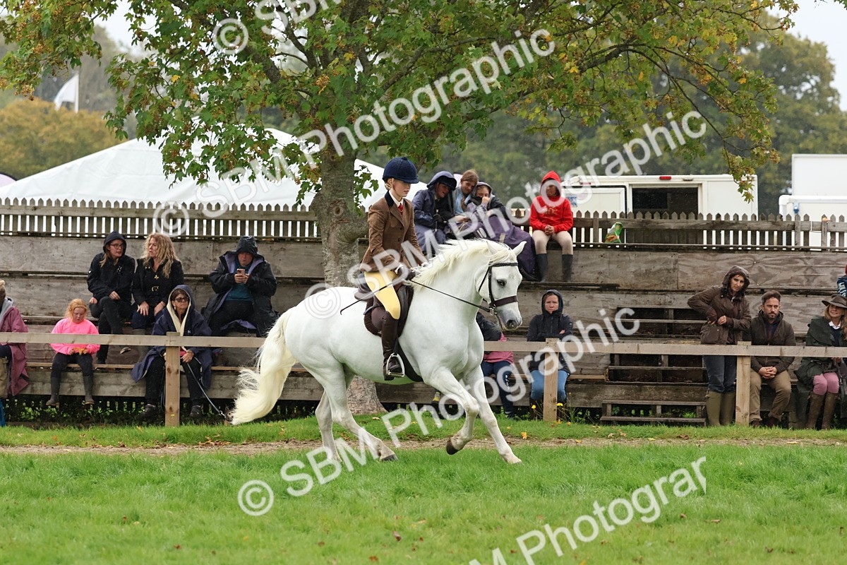 SBM_69687 - S62 - Mountain & Moorland Ridden Large Breeds