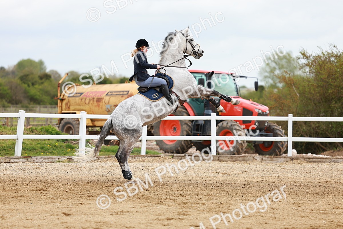 SBM_002530 - Class 10 - Senior Newcomers - 1.10m