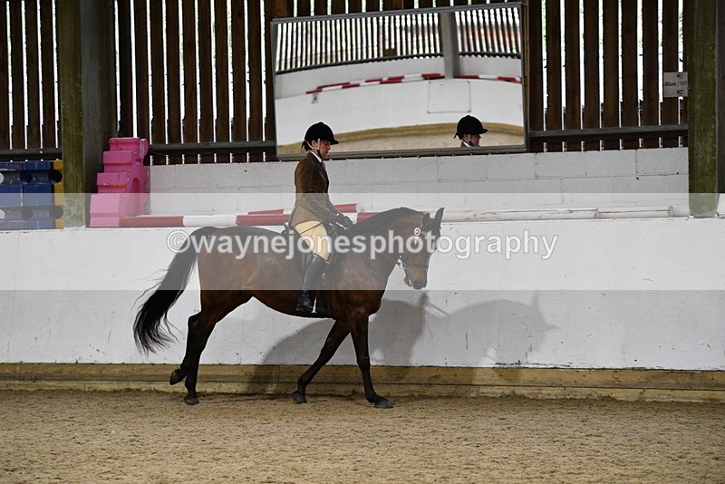 WJ5_8795 - Class 15 Ridden Show Horse