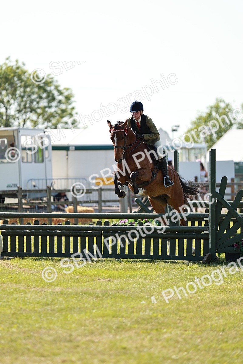 SBM_19135 - Class 115-116 - LIHS BSHA Rising Star Working Hunter & Show Horse