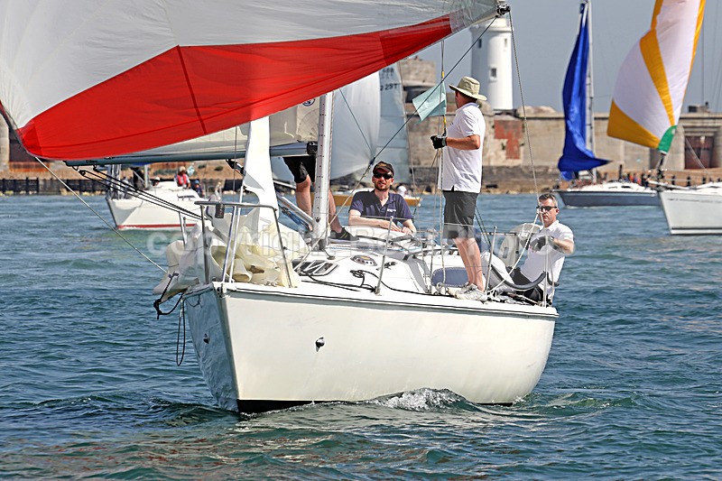 190629 HOUND DOG GBR9537 D43A1882 1 - ROUND THE ISLAND RACE 2019