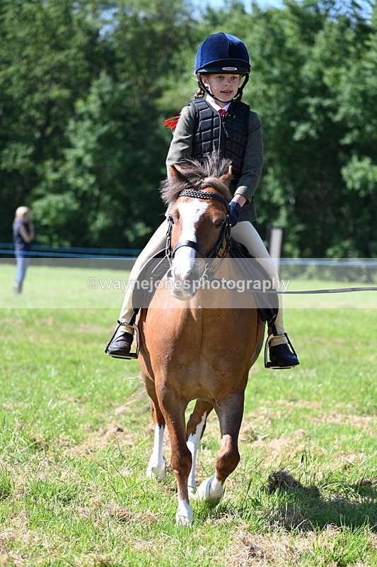 WJ7_0637 - Class 8 First Rally Pony