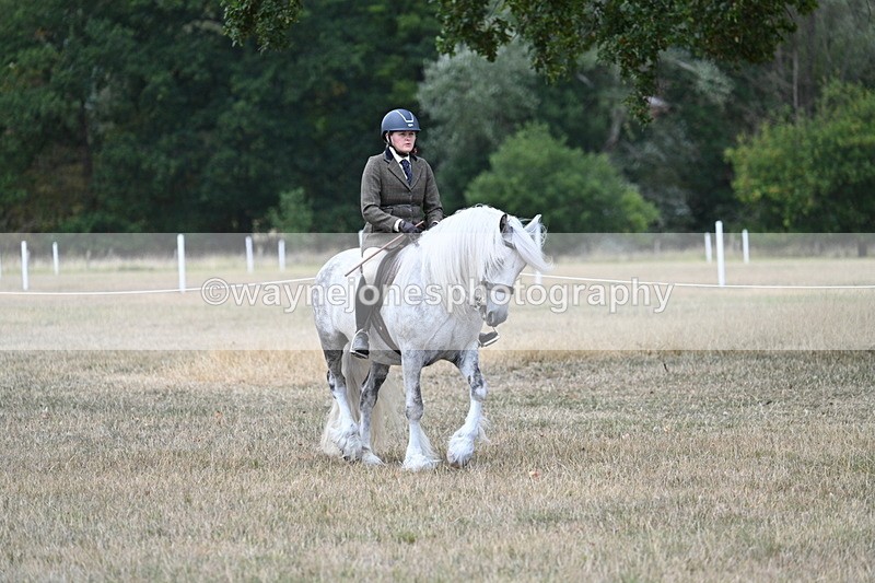 WJ7_4732 - Class 12 Ridden Cob