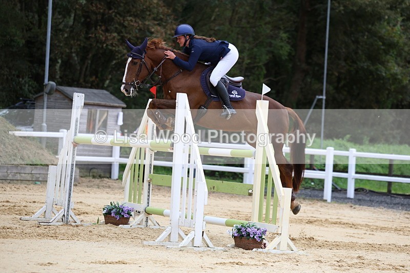 3E7A3370 - Class 9: Senior Foxhunter/1.20 open