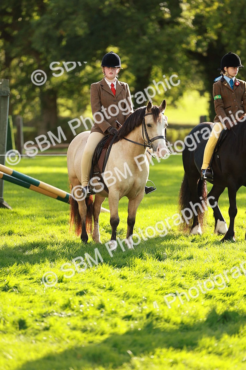 SBM_28691 - S7 - Novice & Newcomer Ridden Pony