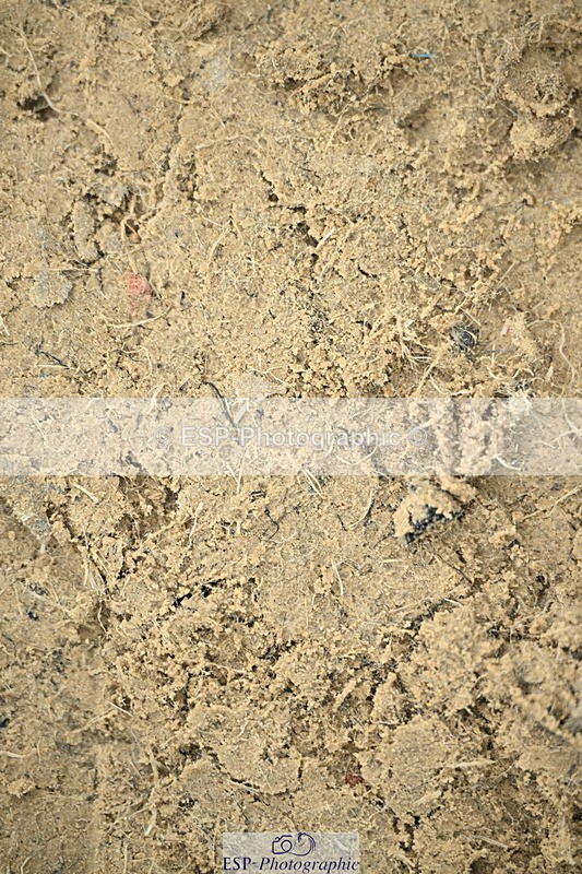 240822X-143823-10482 - 50cm R1 14.00 to 15.00