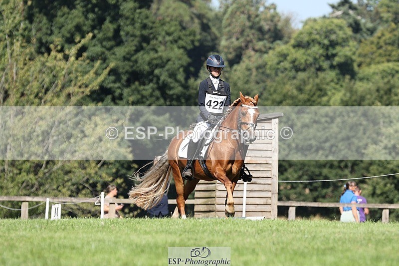 250823A-103837-27759 - Arena D