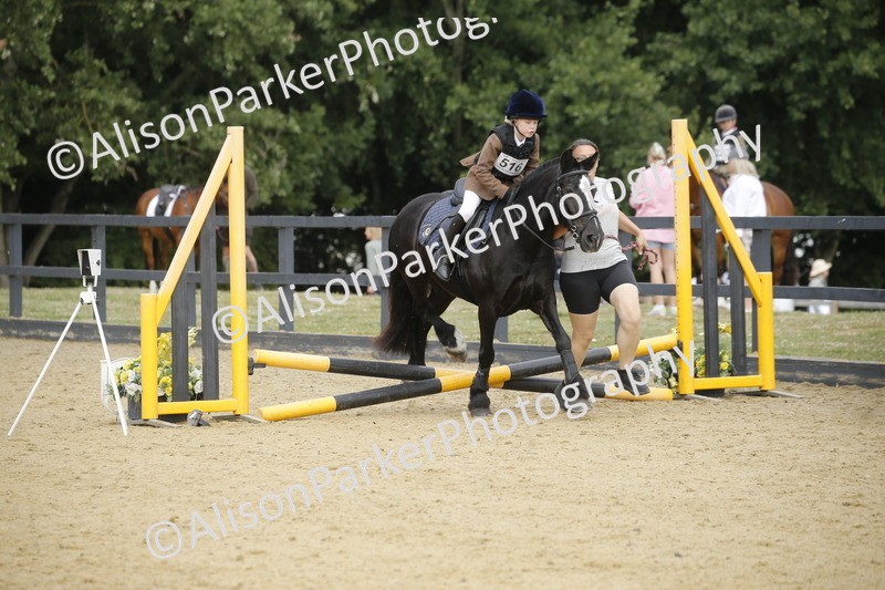 20250622-1336 - 40cm