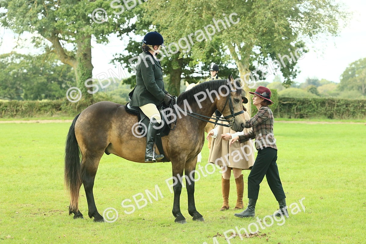 SBM_62621 - S63 - Other Coloured Horse Ridden